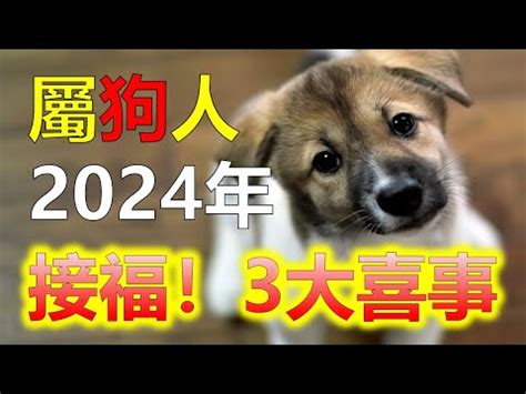 屬狗的人|屬狗今年幾歲？2024屬狗生肖年齡對照表！屬狗性格特質